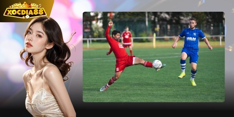 Cúp FA mới nhất – Tin tức Cúp FA mới nhất, cập nhật kết quả từng trận 6 Kèo cược đa dạng, lựa chọn thông minh.