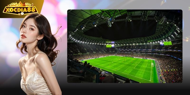 World Cup 2026 – Cập nhật thông tin World Cup 2026, lịch thi đấu mới nhất 4 Sân chơi toàn cầu, ngày hội bóng đá.