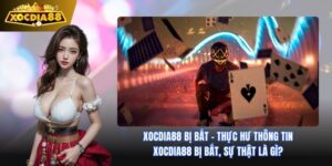 Cổng game Xocdia88 Bị Bắt: Thực Hư Và Những Cam Kết