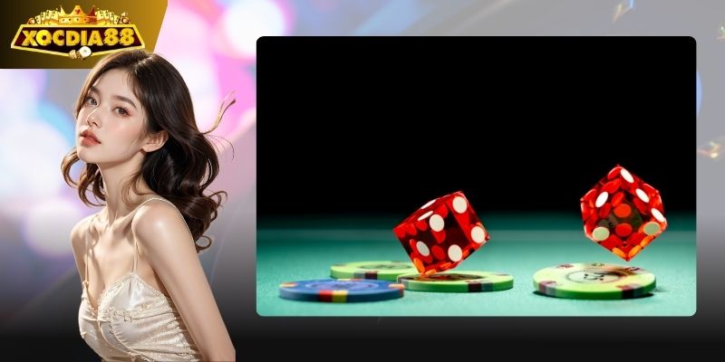 Xocdia88 Trụ Sở: Hành Trình Phát Triển Và Cam Kết 4 Trung tâm điều hành, nền tảng phát triển.